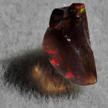 1.60 cts. Virgin Valley Black Opal (pre-polished)
