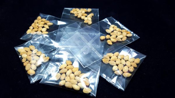 Cherry seeds - Image 2