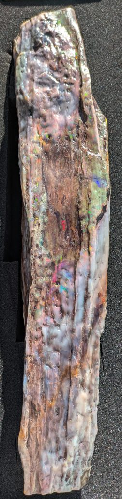 Square woodsopal Log