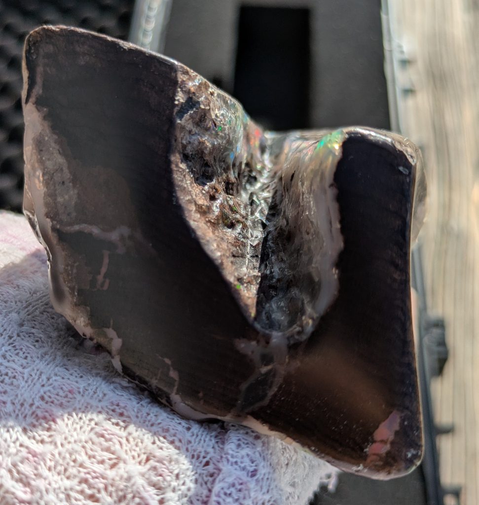 U-shaped end of "The Edgy Beauty"